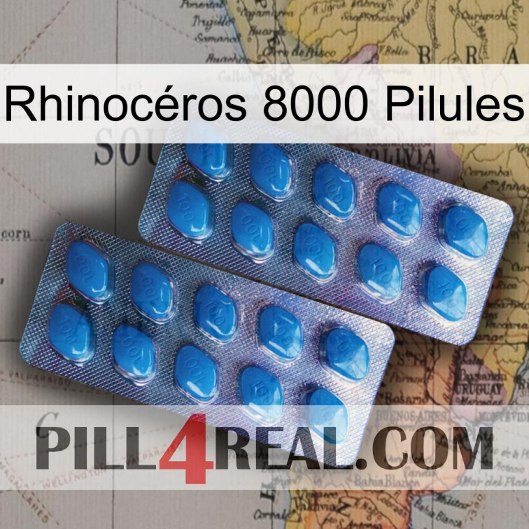 Rhinocéros 8000 Pilules viagra2